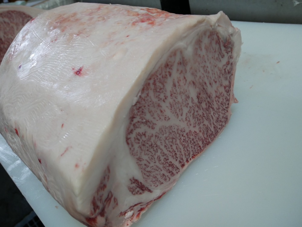 �y���̌|�p�i�z�ō����܍��a���T�[���C��