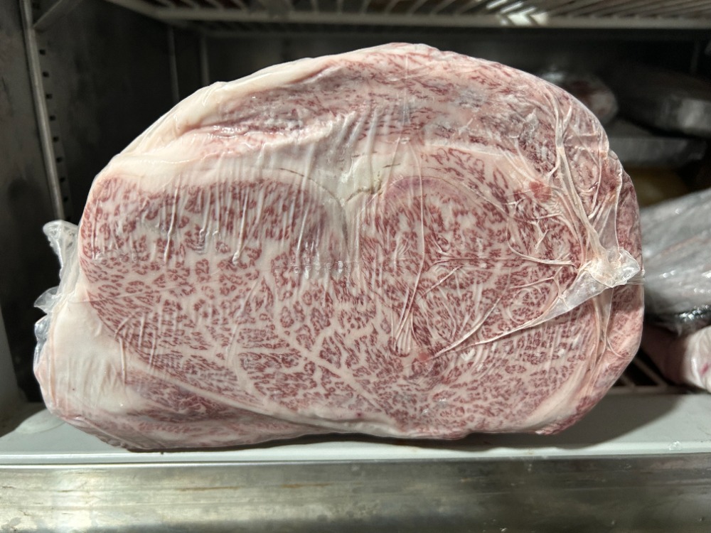 �a���T�[���C���@A5