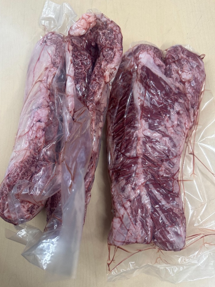 �y�����ʁz�y�V�N�`���h�z��B�Y�@���I�@�a���n���~�E�a���T�K���i�ꓪ���j