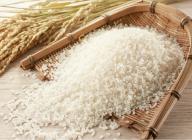 �X�܎ʐ^�E���S