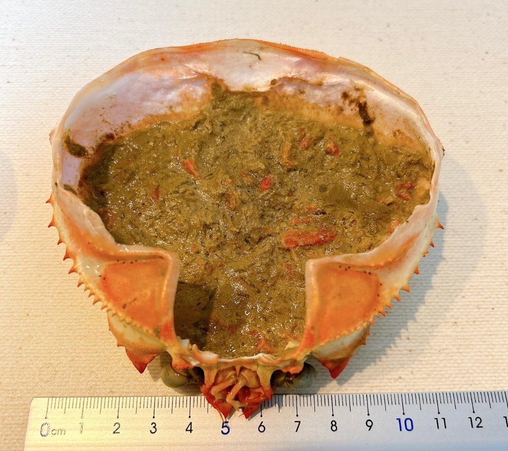 【美味・珍品】カニ味噌甲羅焼き　50ｇx4個x12