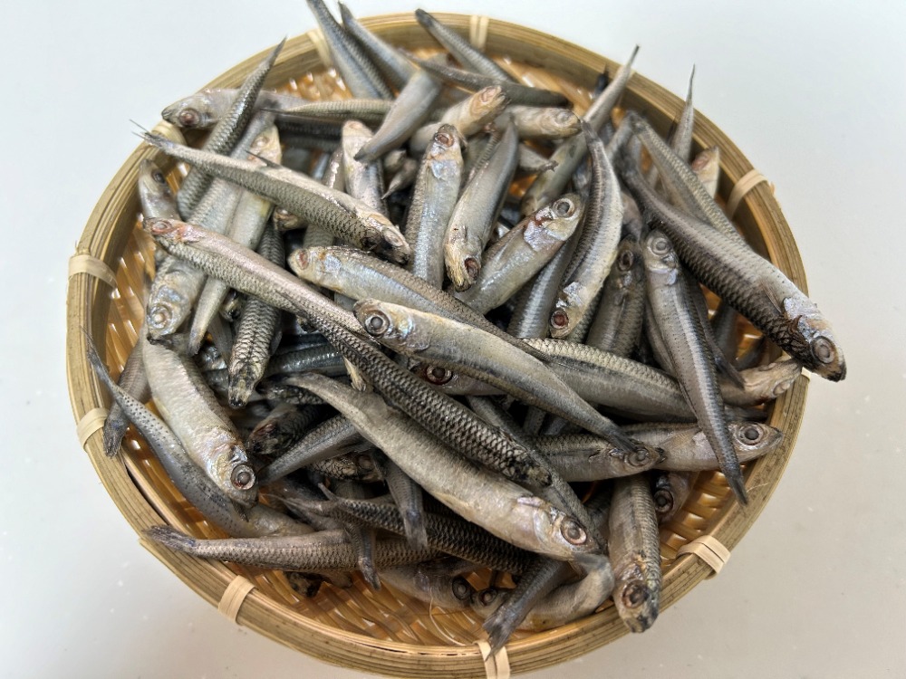 【バラ凍結】トウゴロウイワシ　1kgx10P