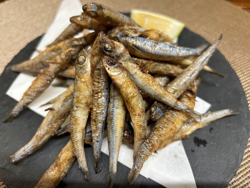 【お試し品】トウゴロウイワシ　1kg