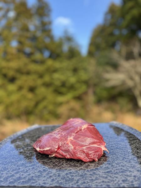 【若狭鹿】ジビエ　鹿肉　モモ