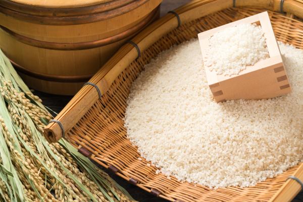 【令和7年産】精米　送料安　千葉県産粒すけ5kg