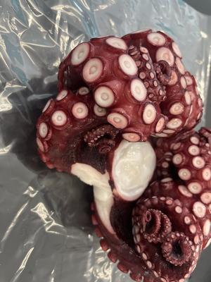 無頭たこ　お刺身　たこ焼き　カルパッチョ