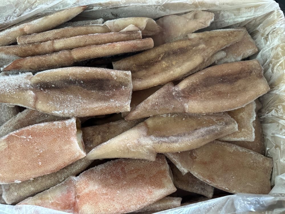 ツボヌキイカ　ＩＱＦ（バラ凍結）　60尾　7.5kg　イベント　焼物