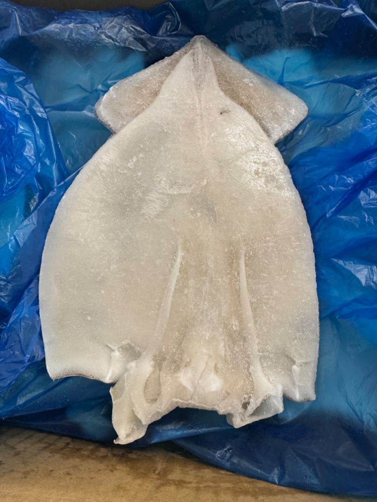 開きいか　げそ付き　25尾　1枚400円　バラ凍結　加熱用