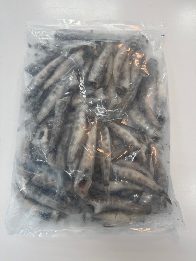 冷凍めひかり　無頭　下処理済で便利！　バラ凍結　　天ぷら