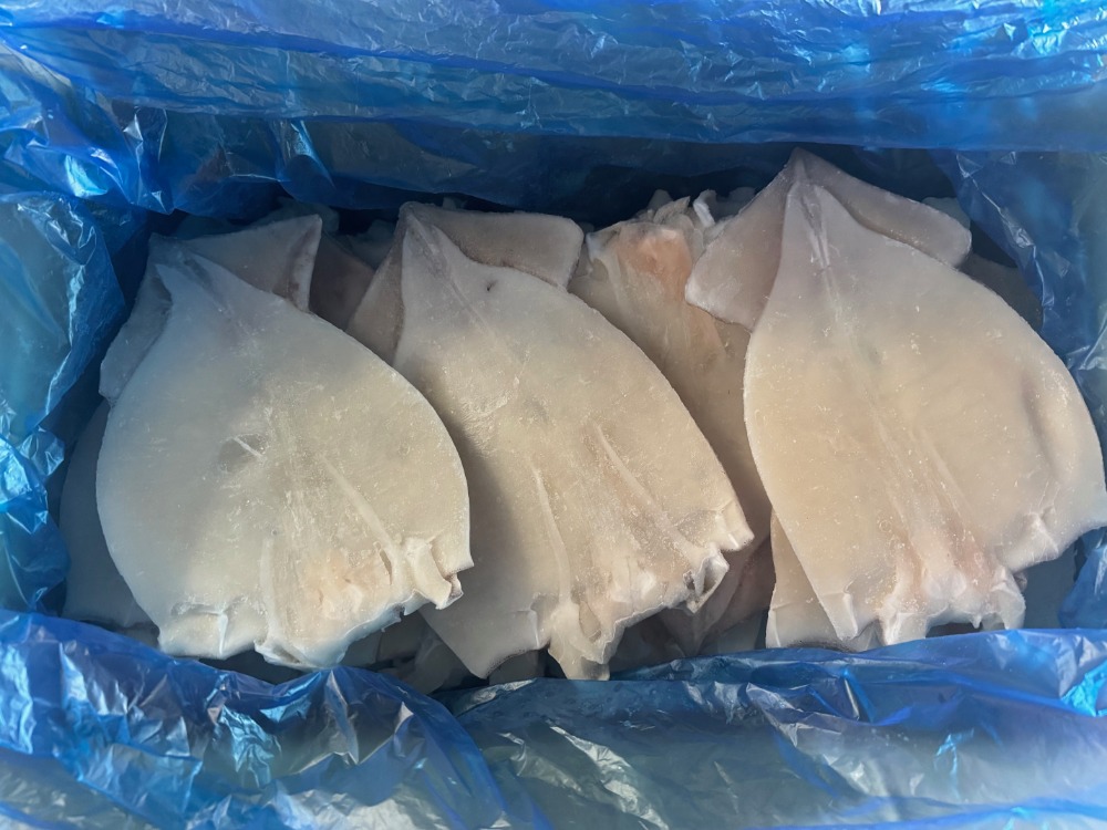 開きいか　げそ付き　25尾　1枚400円　バラ凍結　加熱用