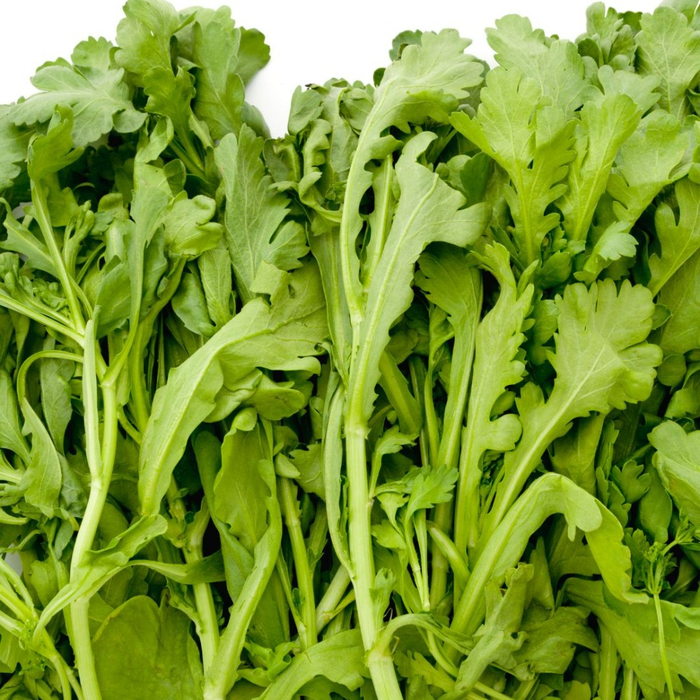 〈春菊〉菊菜/水耕栽培/福井県産/サラダ/安定供給/高栄養価
