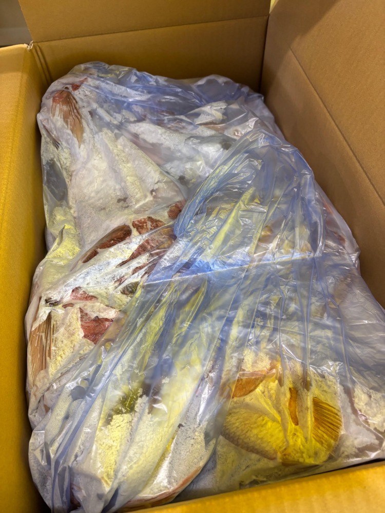 徳島県産　養殖真鯛あら(頭カマ)　20kg