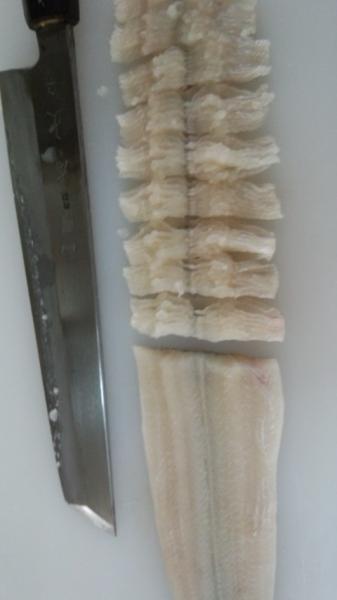 瀬戸内海産　はも（鱧）