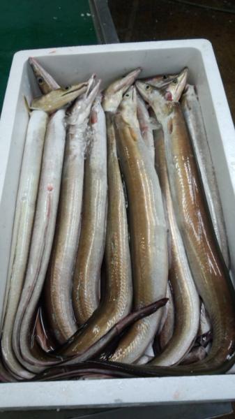 国産骨切りはも　