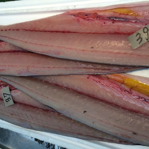 国産冷凍　さわら　１匹　３ｋｇ代