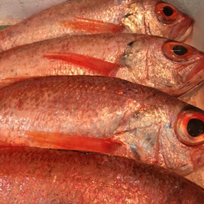 �̂ǂ���i�Ԃނj�@�P�C�T�O�O��