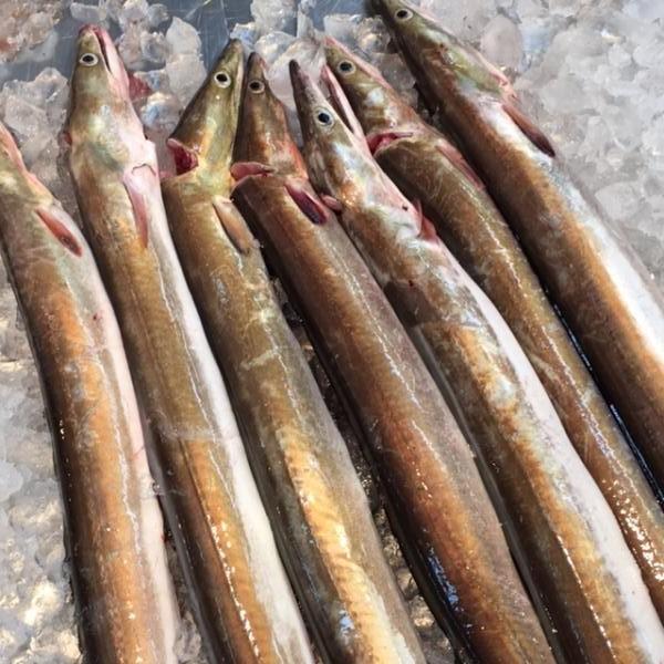 国産骨切り活け鱧（瀬戸内海産）オリジナル冷凍商品