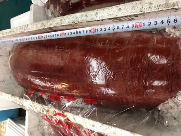 鳥取県産　タルいか　(刺身用）柵とり　自社製冷凍食品