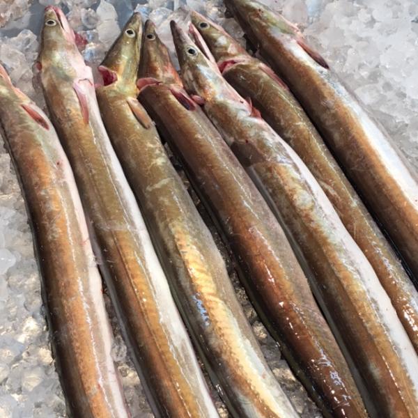 国産骨切り活け鱧を（瀬戸内海産）当社オリジナル冷凍食品