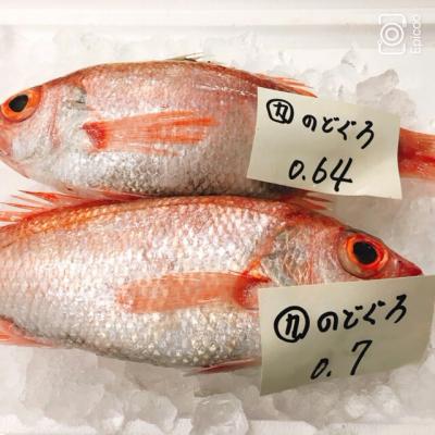 �؍��Y�@�̂ǂ���@�i�Ԃނj�@�P�C�U�O�O��