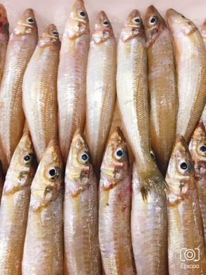 国産きす おろし 自社冷凍ブランド1匹50ｇ前後 仕入れなら業務用食材卸売市場mマート