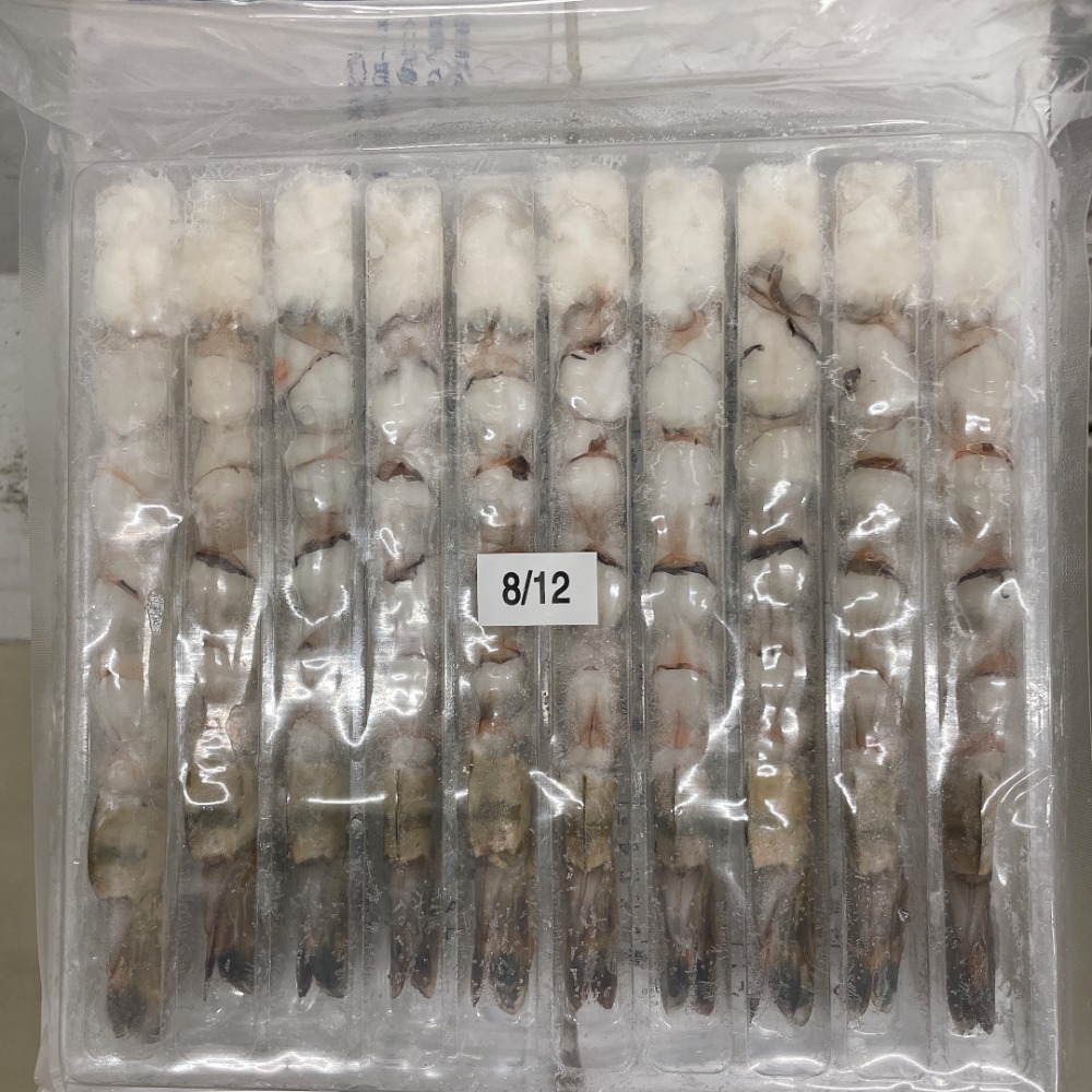 キョクヨー BT伸ばし海老8/12 □10481