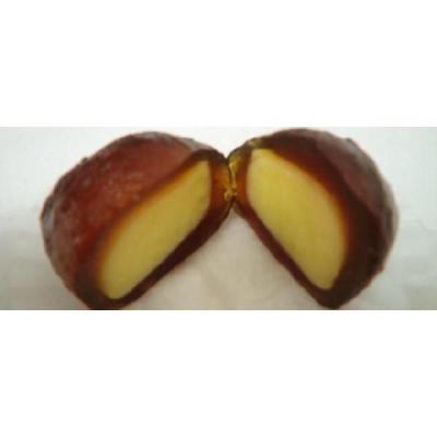 �a���َq�@�~�j�����݁@�����v���������@20��x28P�@�Ⓚ