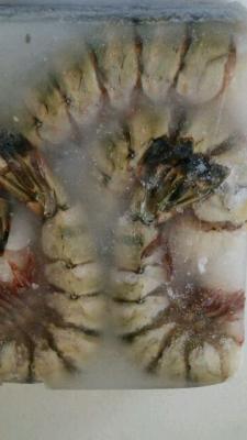 4-6�u���b�N���̓V�[�^�C�K�[�@1.8Kgx6���@����