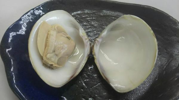 両貝ボイル蛤　500g（約9個〜11個）x20P　冷凍　業務用