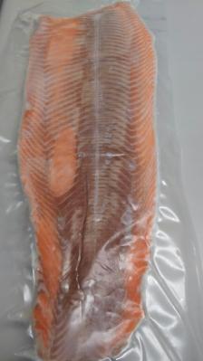 �`���Y�@�A�g�����g�����@�疳���@E�@10kg�@���@����