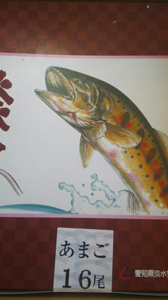 国産　あまご　1Kg（10〜16尾）x10Ｐ　冷凍　業務用