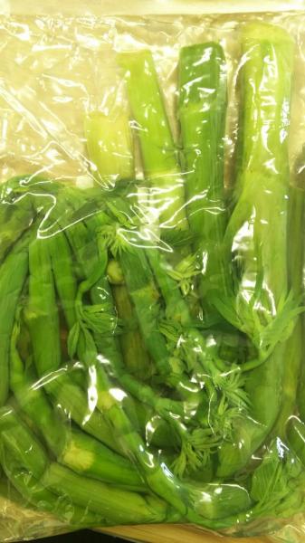 国産　山うど水煮　1Kgx15Ｐ　業務用　カットあり