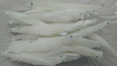 �����h�p�e�i8-10�����j500���i��190�C�jx20�o�@�Ⓚ