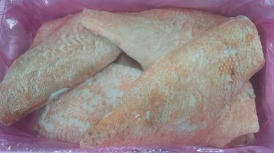 �߂ʂ��t�B�[���@10kg�i7-10���j���M�p�@�Ⓚ