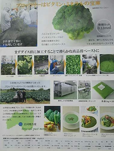 国産（福島県）ブロッコリーペースト　1Kgx10Ｐ　冷凍
