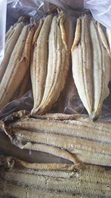 �����Y�@�L�����Ȃ����ā@10�����i40���j�Ⓚ�@