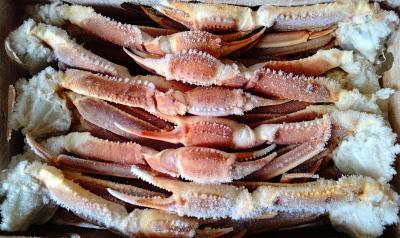 �󂠂�@���₸�킢�I�@���i�k�j5����x�Q���@�e�T�C�Y