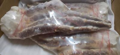 ���@�{����ΊI�@�V�������N�@5L�@10���i���d�ʌ���1.0kg�j