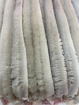 ���Y�@�V�R�@���Y���؂���@1Kgx12�o�@���M�p