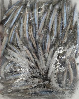 ���茧�Y�@���тȂ��@�h�p�e�@1Kgx10�o�@���M�p