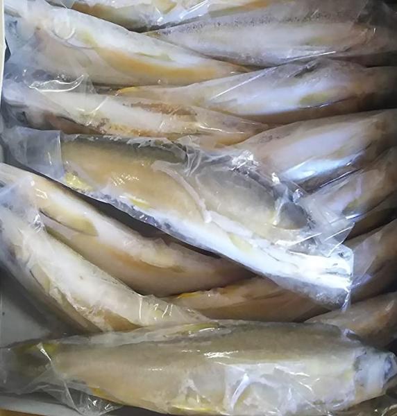 国産　冷凍　鮎１ｋｇ（14尾〜16尾）x10枚　安価