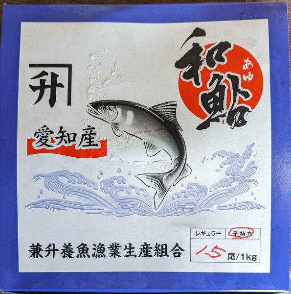 国産　子持あゆ　1Kg（15〜20尾）x10枚　限定品