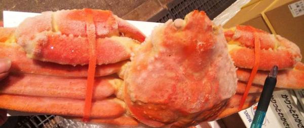 ボイルずわい蟹　姿　3kgx２箱（箱5尾）各サイズあり