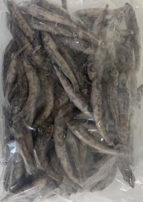 ���Y�@�߂Ђ���@�ہ@1Kgx10�o�@�Ⓚ�@���M�p