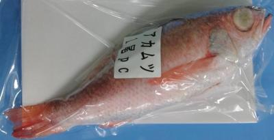 �؍��Y�@�ԃ��c�@���E���h�@10Kg�@��150-200���@�Ⓚ�@���M�p