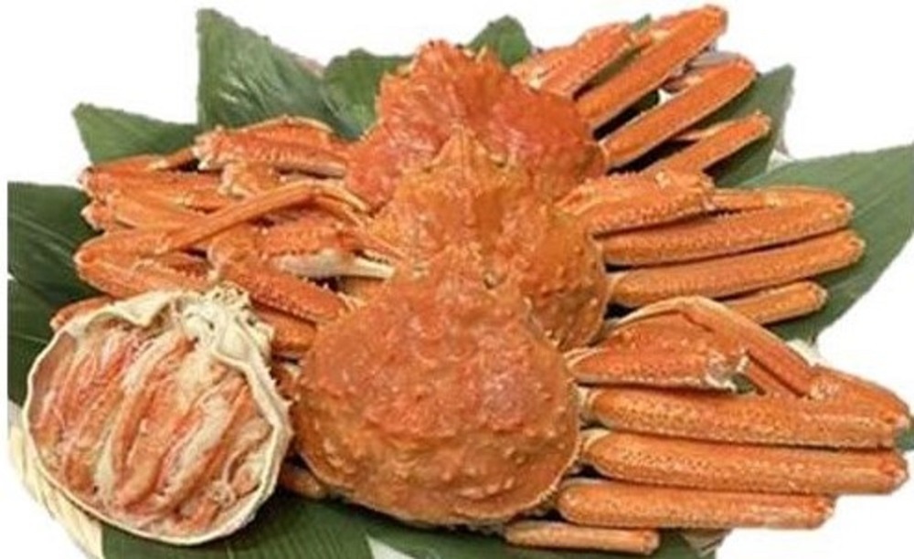 ���Y�@�{�C���Y���C�I�i�p�j3kgx3���i��6���j�k�C��