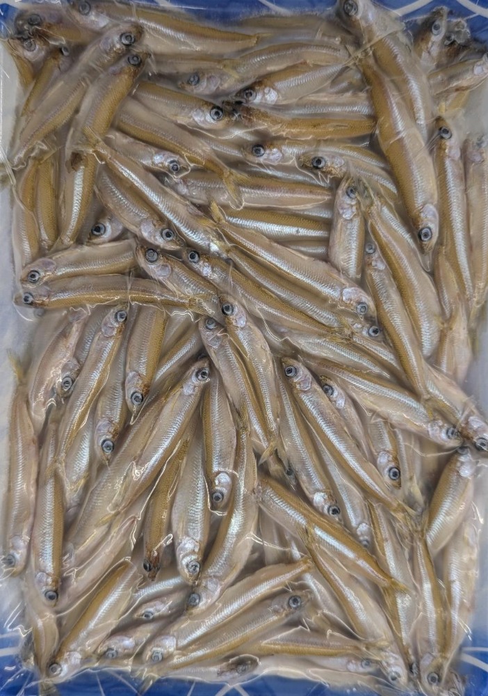 ���Y�@�킩�����@���@500��x20P�@6-8cm�@�Ⓚ