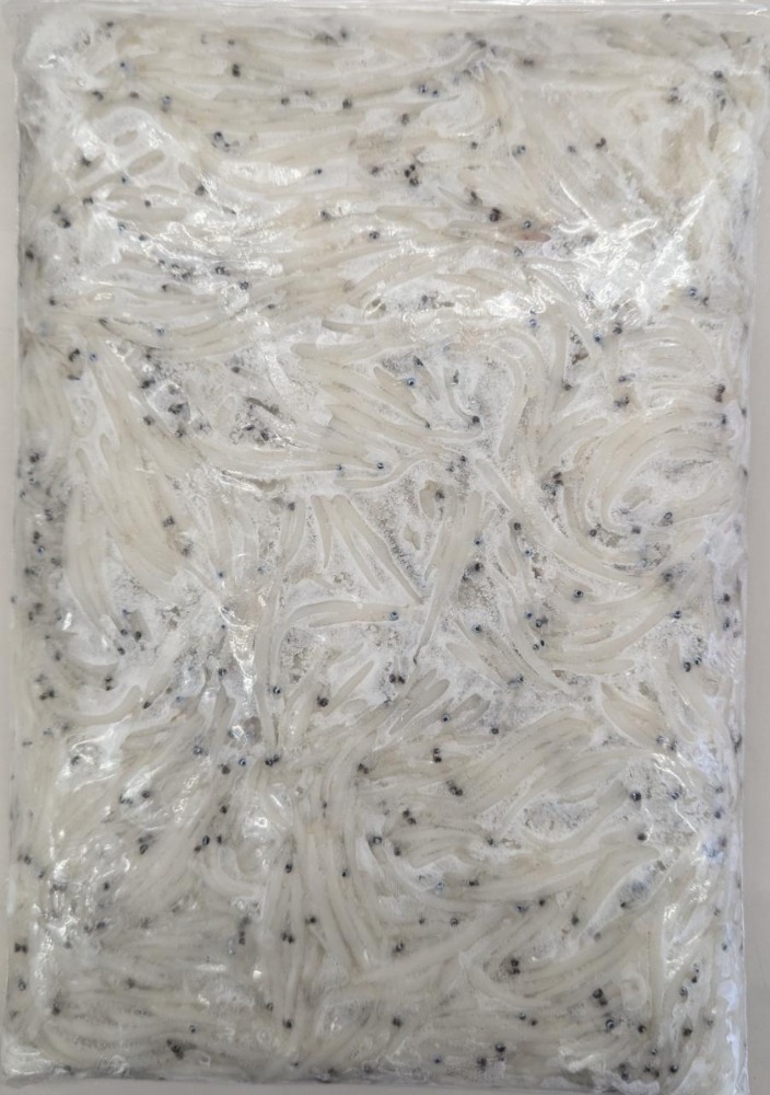 �����Y�Y�@�����@1Kgx12�o�@���M�p�@�Ⓚ�@�Ɩ��p