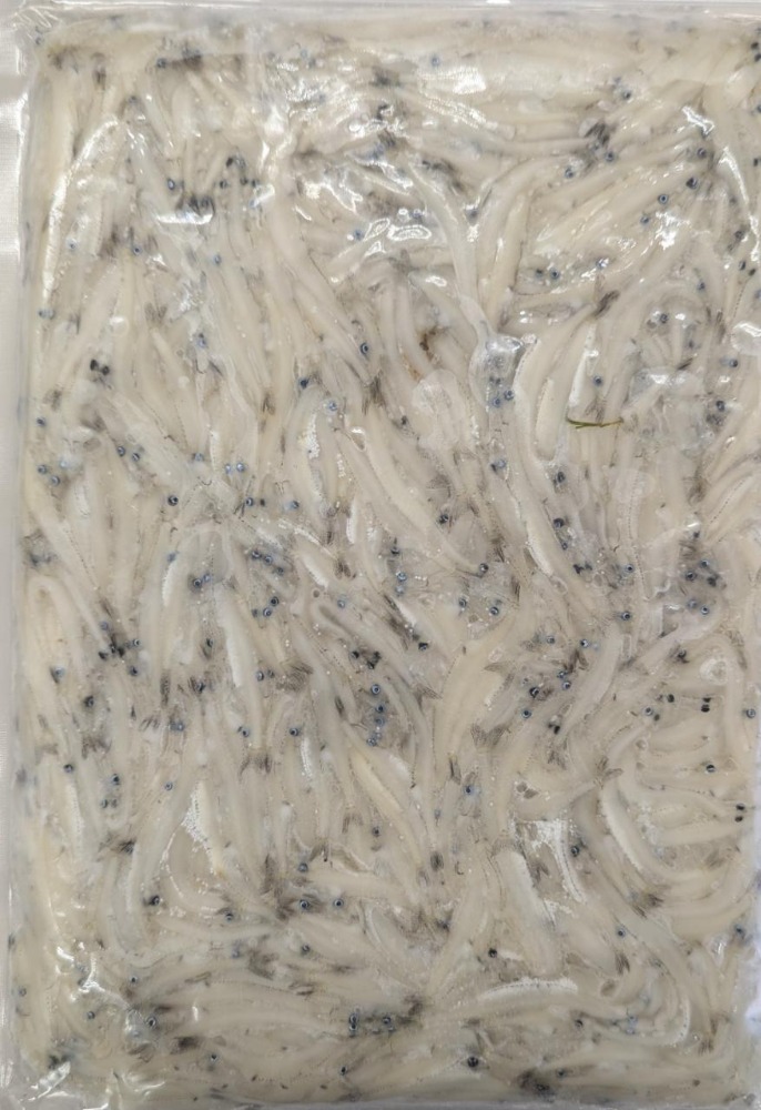 �X���Y�@�����@500gx24�o�@�Ⓚ�@���H�\