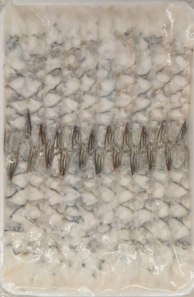 16-20���t���L�΂��C�V�@�o�i���C��@20��x40P�@�Ⓚ�@�Ɩ��p